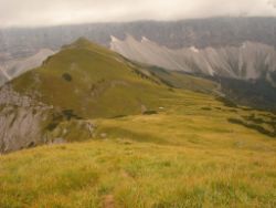 2013-09-08_6Falkenh-Steinfalk (205)07.JPG